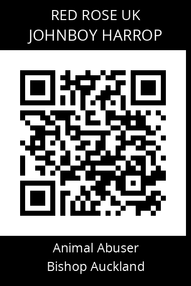 QR code for johnboy-harrop