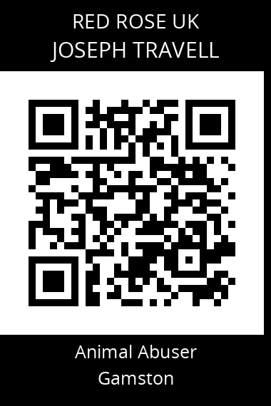 QR code for joseph-travell
