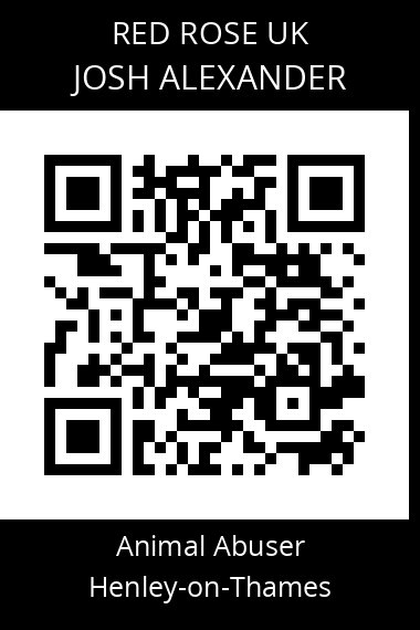 QR code for josh-alexander