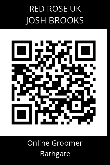QR code for josh-brooks