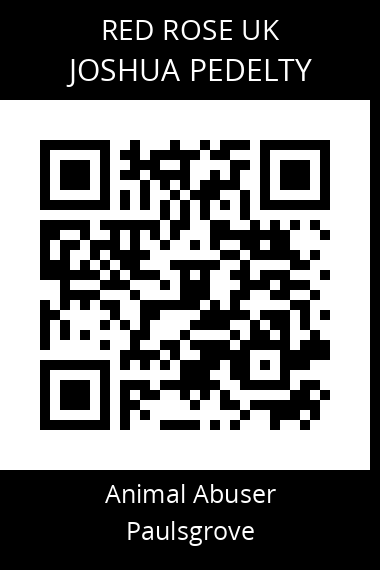 QR code for joshua-pedelty