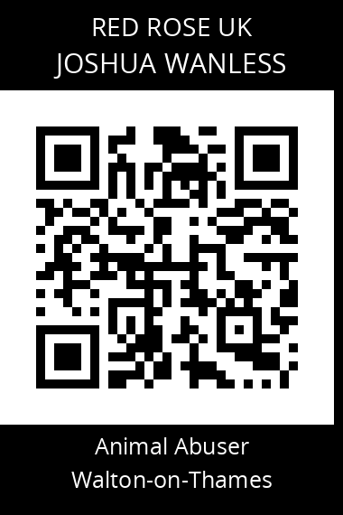 QR code for joshua-wanless