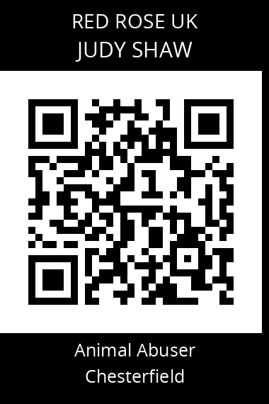 QR code for judy-shaw