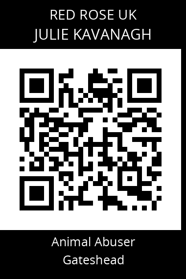 QR code for julie-kavanagh