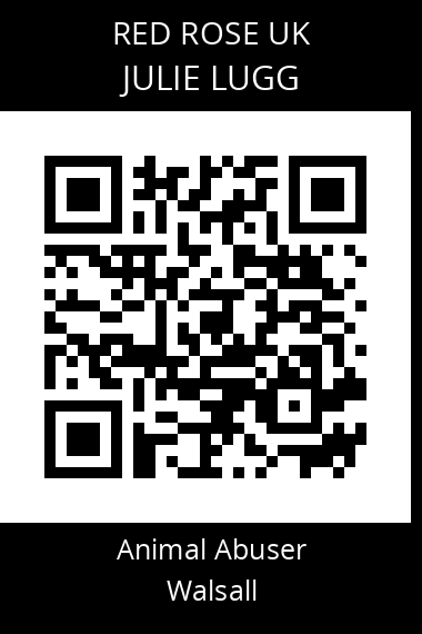 QR code for julie-lugg