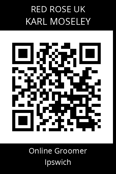 QR code for karl-moseley