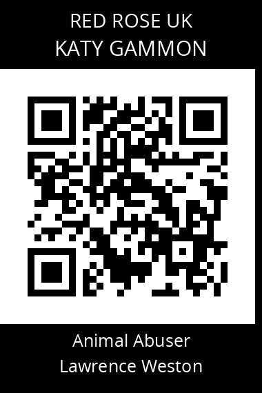 QR code for katy-gammon