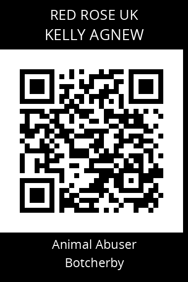 QR code for kelly-agnew-1