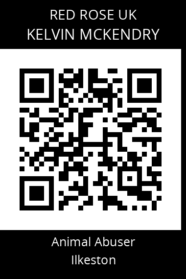 QR code for kelvin-mckendry
