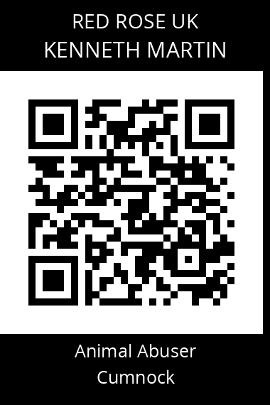 QR code for kenneth-martin-1