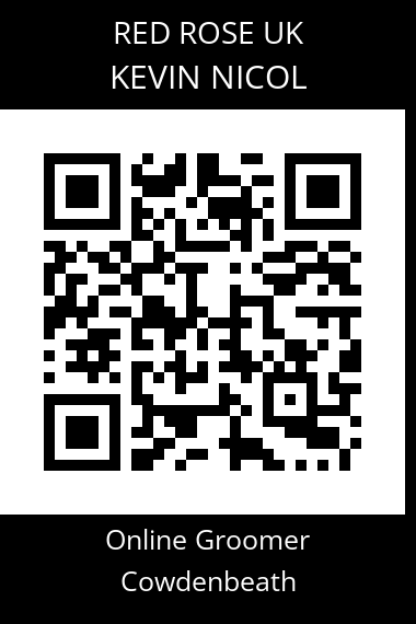 QR code for kevin-nicol-2
