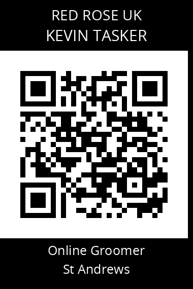 QR code for kevin-tasker
