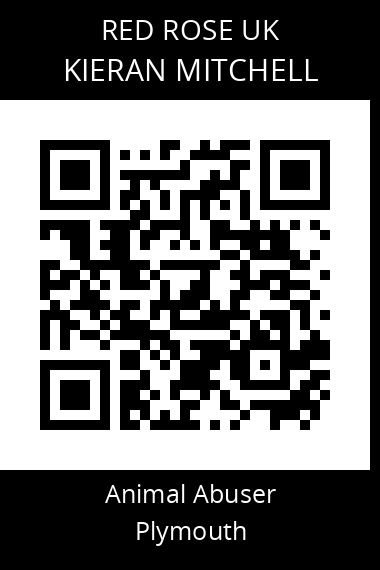 QR code for kieran-mitchell