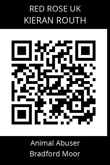 QR code for kieran-routh