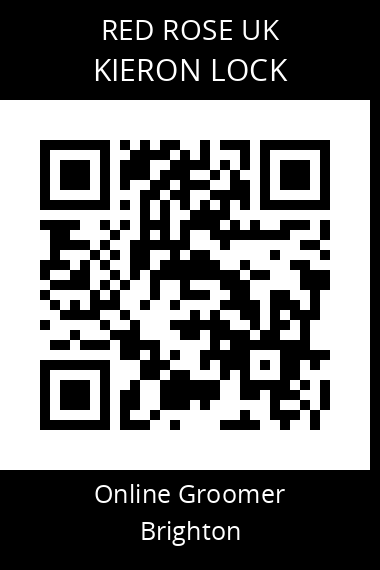 QR code for kieron-lock