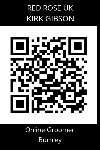 QR code for kirk-gibson-2