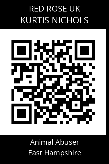 QR code for kurtis-nichols
