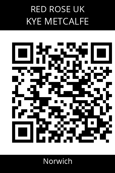 QR code for kye-metcalfe-tsdafq