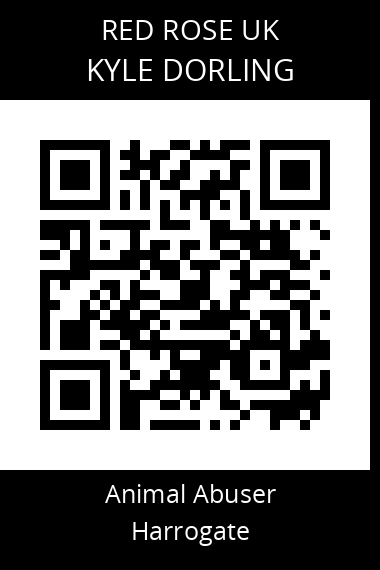 QR code for kyle-dorling