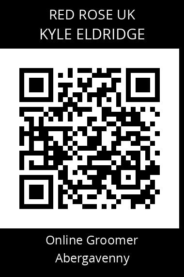 QR code for kyle-eldridge