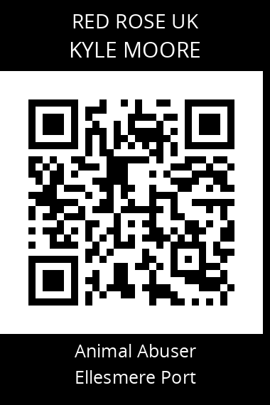 QR code for kyle-moore