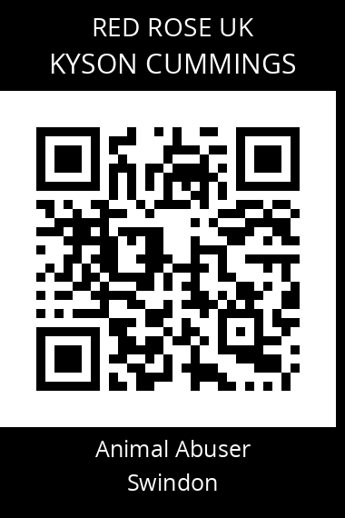 QR code for kyson-cummings
