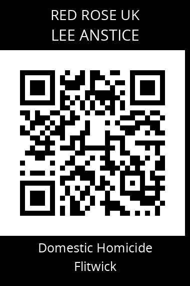 QR code for lee-anstice