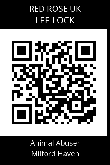 QR code for lee-lock