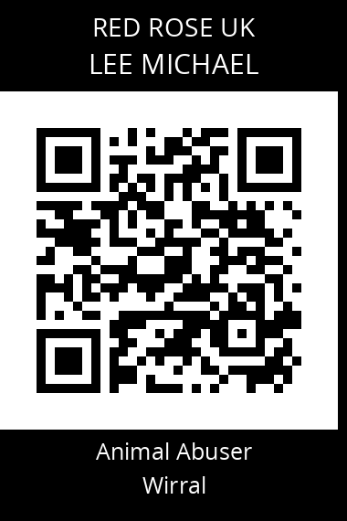 QR code for lee-michael-1