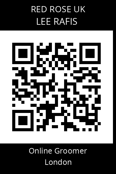 QR code for lee-rafis