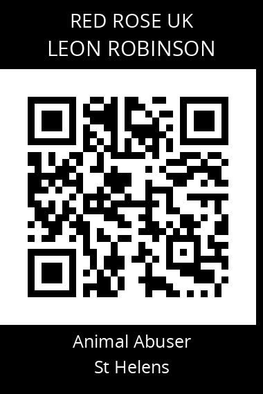 QR code for leon-robinson-1