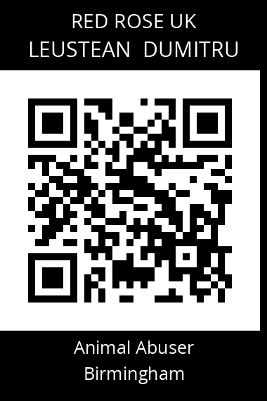 QR code for leustean-dumitru