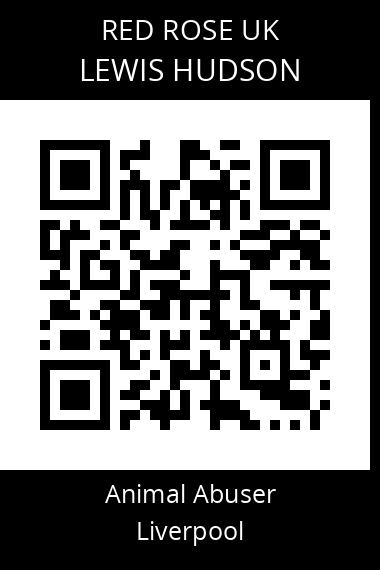 QR code for lewis-hudson-1