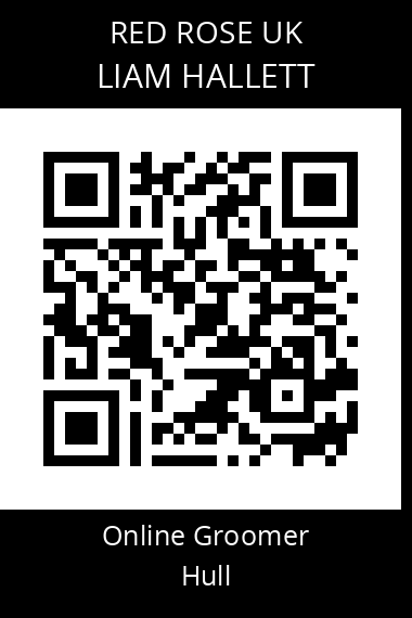 QR code for liam-hallett