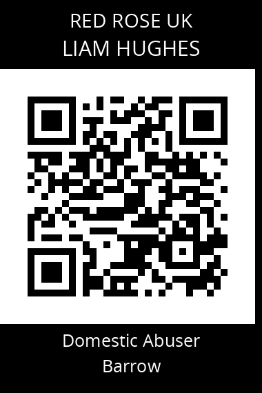 QR code for liam-hughes-2