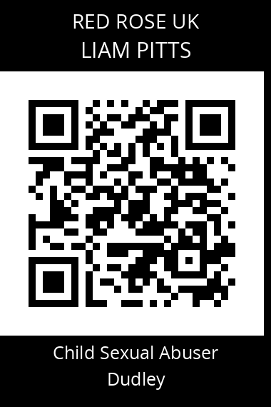 QR code for liam-pitts-z93sbp