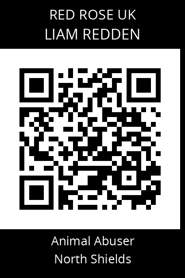 QR code for liam-redden