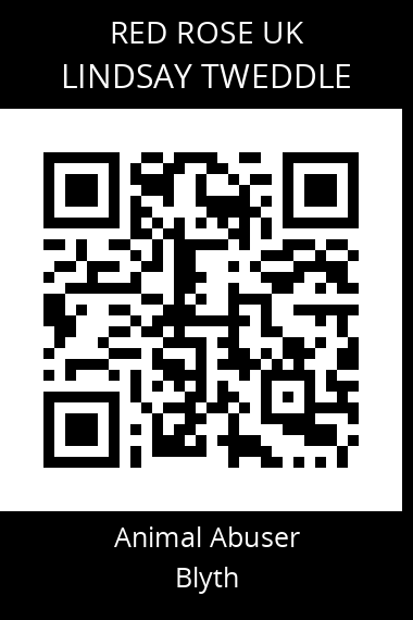 QR code for lindsay-tweddle