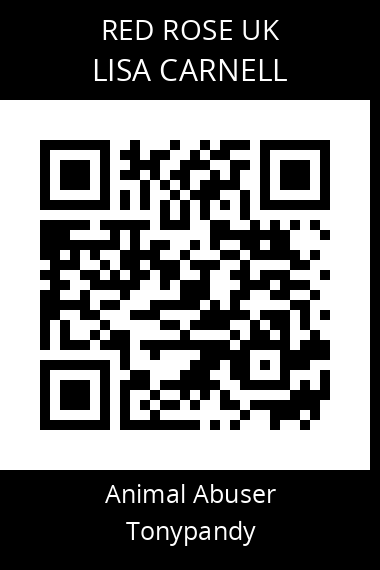 QR code for lisa-carnell
