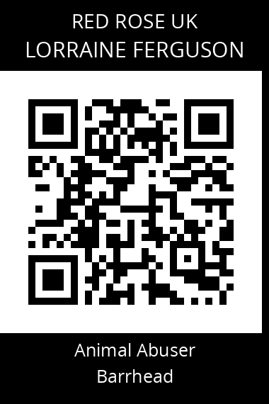QR code for lorraine-ferguson