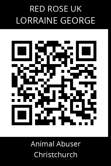 QR code for lorraine-george