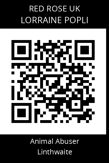 QR code for lorraine-popli