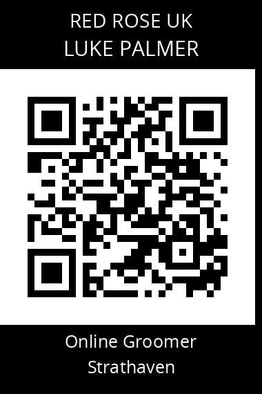 QR code for luke-palmer