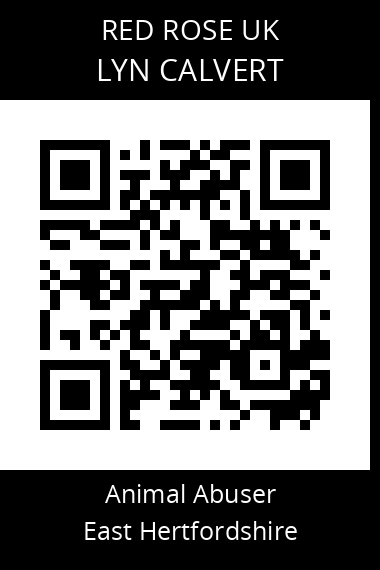QR code for lyn-calvert