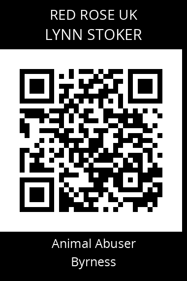 QR code for lynn-stoker