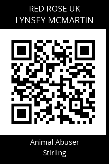 QR code for lynsey-mcmartin