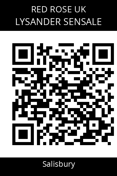 QR code for lysander-sensale-sqdqvg