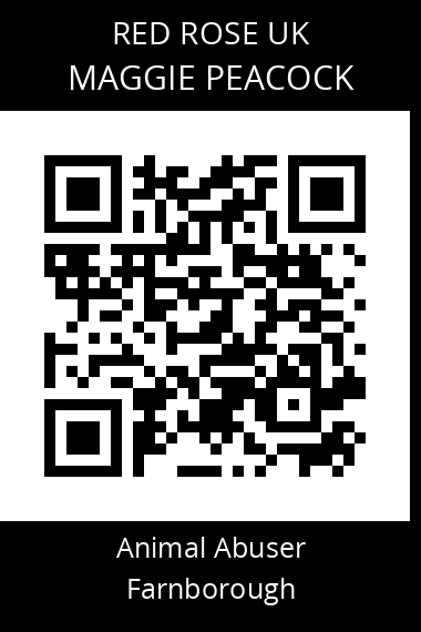QR code for maggie-peacock