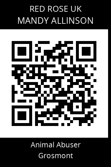 QR code for mandy-allinson-2