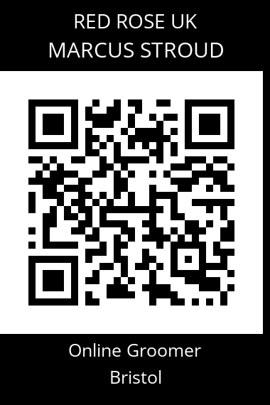 QR code for marcus-stroud